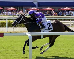 Spirit Doll takes Honey Ryder; Bolero Bay wins English Channel