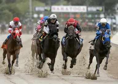 Gratefully puts undefeated record on the line in Wishing Well