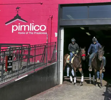 Community concerns voiced in meeting on Pimlico revitalization bill