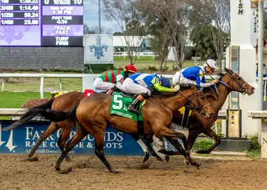 Taken By The Wind strolls to narrow victory in Silverbulletday Stakes