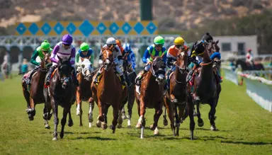 DRF's Horse Racing Playbook for Sunday, August 27, 2023