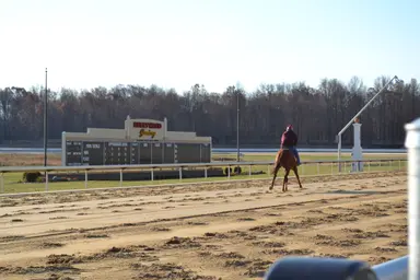 Barn at Mahoning Valley quarantined due to strangles