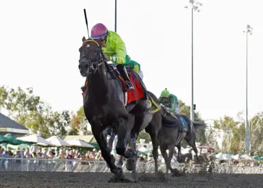 Five Star General will stand for $6,000 at Virginia farm
