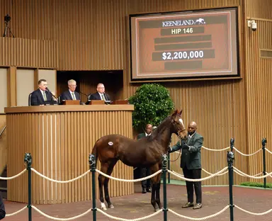Keeneland November: Demand for weanlings leads to double-digit gains in Book 1