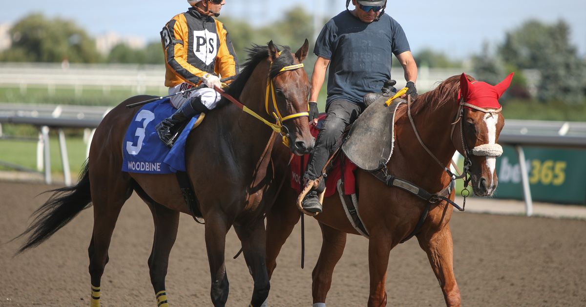 Unbridled Weather in optimal spot to regain winning form
