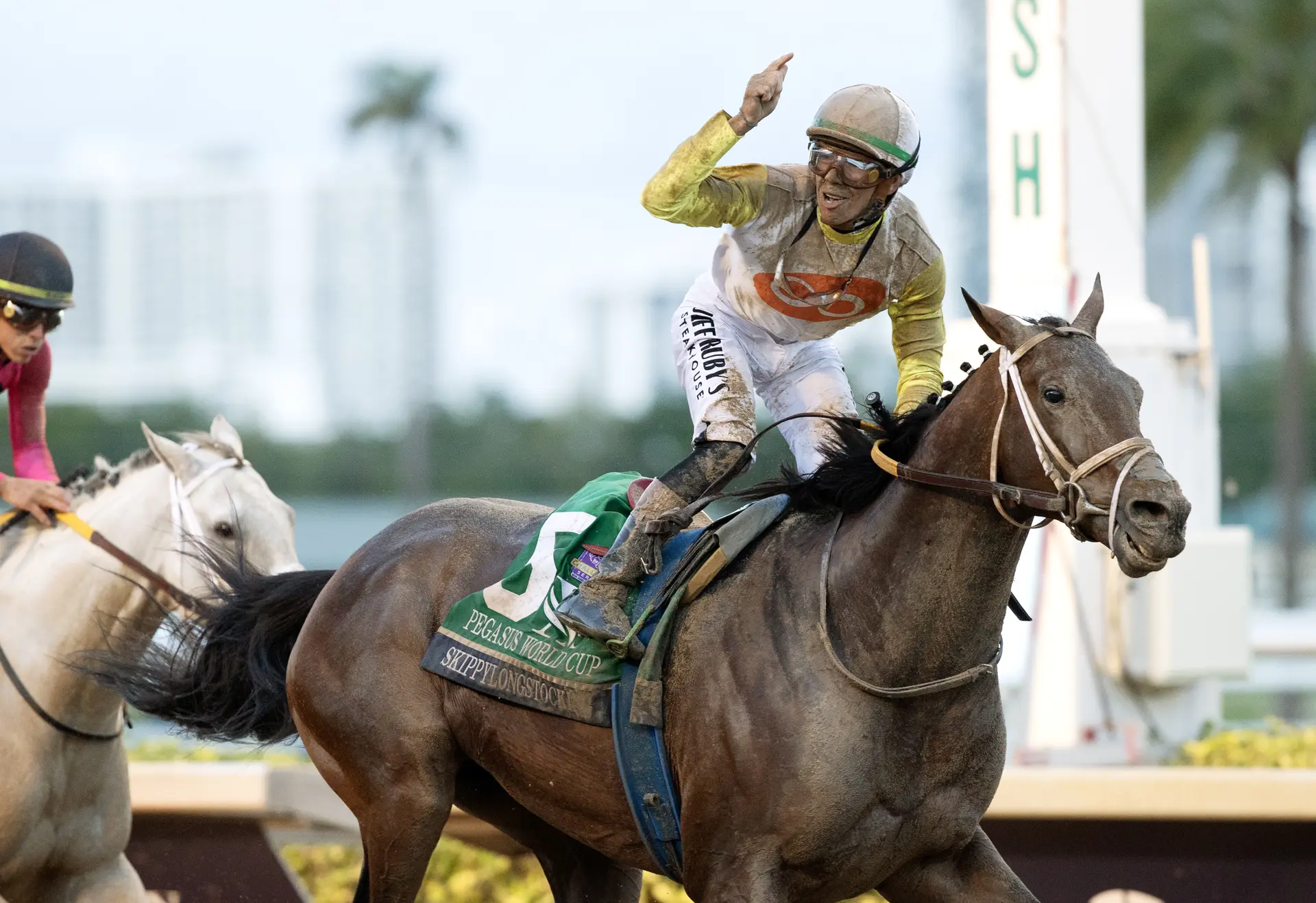 Skippylongstocking ($45.20) gains Pegasus World Cup triumph on fourth attempt