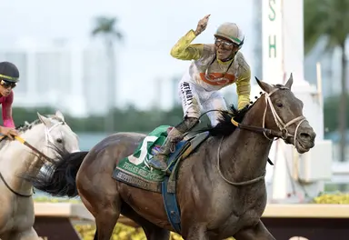 Skippylongstocking removed from flight, will scratch from Santa Anita Handicap