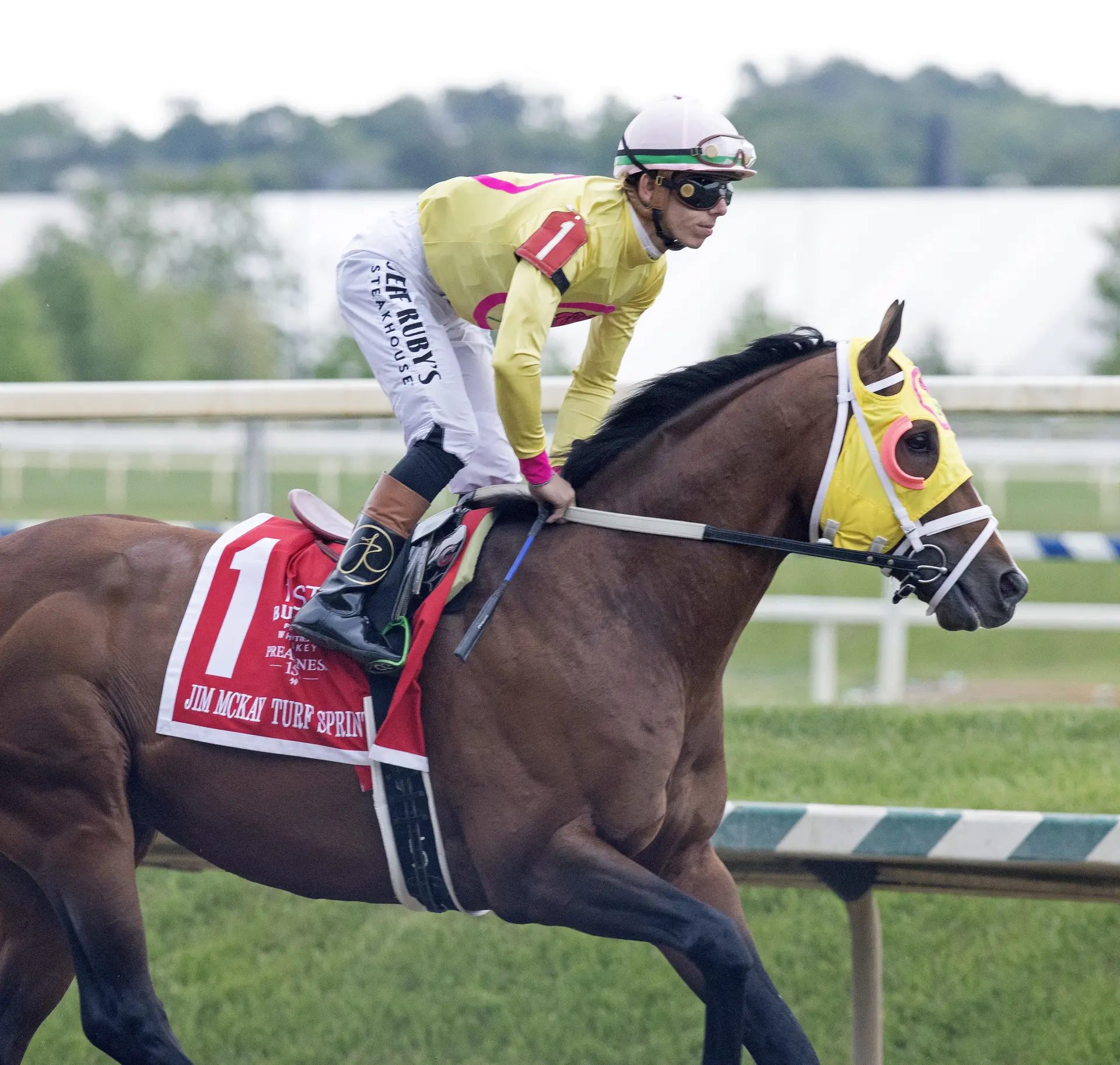 Sammy C Note looks to end string of seconds in statebred allowance