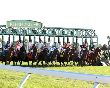 Newly formed Horse Racing League signs up Godolphin, WinStar, Gary Barber, and Vinnie Viola