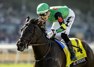 D'Amato hoping Almendares breaks through in Kilroe Mile