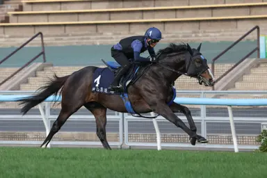Soul Rush set for grand finale in LONGINES Hong Kong Mile