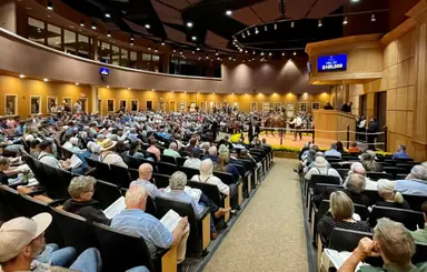 Harness: 2026 Lexington Selected Yearling Sale catalogue now available