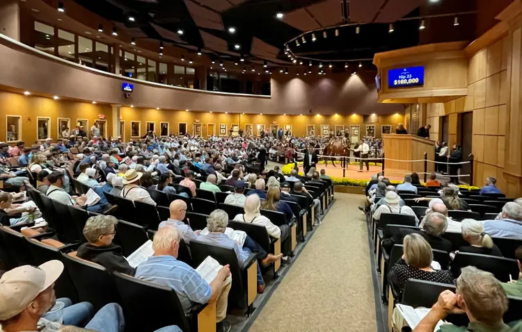 Lexington sale 2023_web