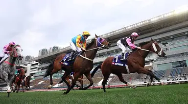 Hong Kong Selections for Saturday, Feb. 28, 2026