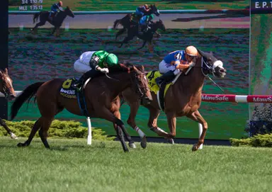 Proctor Street outsteps Eponine for narrow Canadian triumph