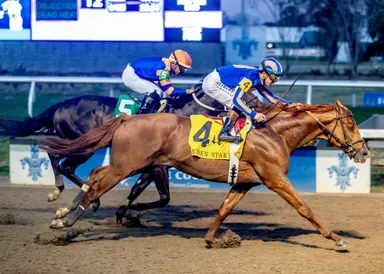 Blue Grass next for Risen Star winner Paladin, Brown says