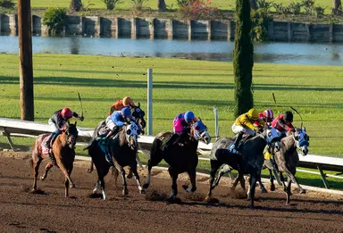 DRF's Horse Racing Playbook for Tuesday, July 4, 2023