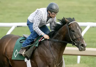 Sovereignty, Magnitude work ahead of rematch in Whitney