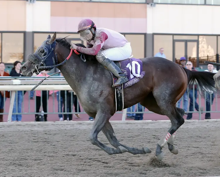 Veeson wins Jump Start Stakes at Parx Oct 24 2023