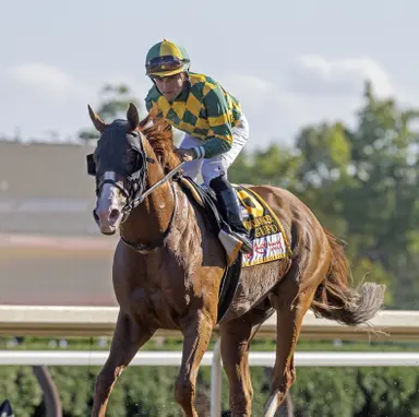 Gufo to stand at Ballycroy Bloodstock in Ontario
