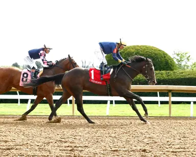 General Graham sells for $375,000 to lead Keeneland April sale