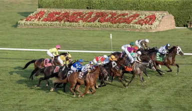 New York tracks to start using penny breakage