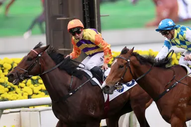 Straight Arron goes for gold in Centenary Vase at Sha Tin
