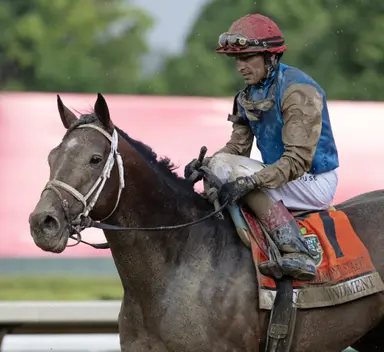Commandment pointing to Jim Dandy