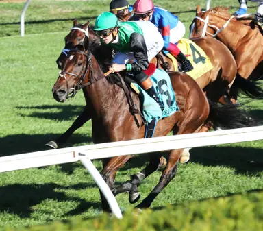Weekend GamePlan: Picks for Pegasus Filly and Mare Turf, Christophe Clement, Fred W. Hooper