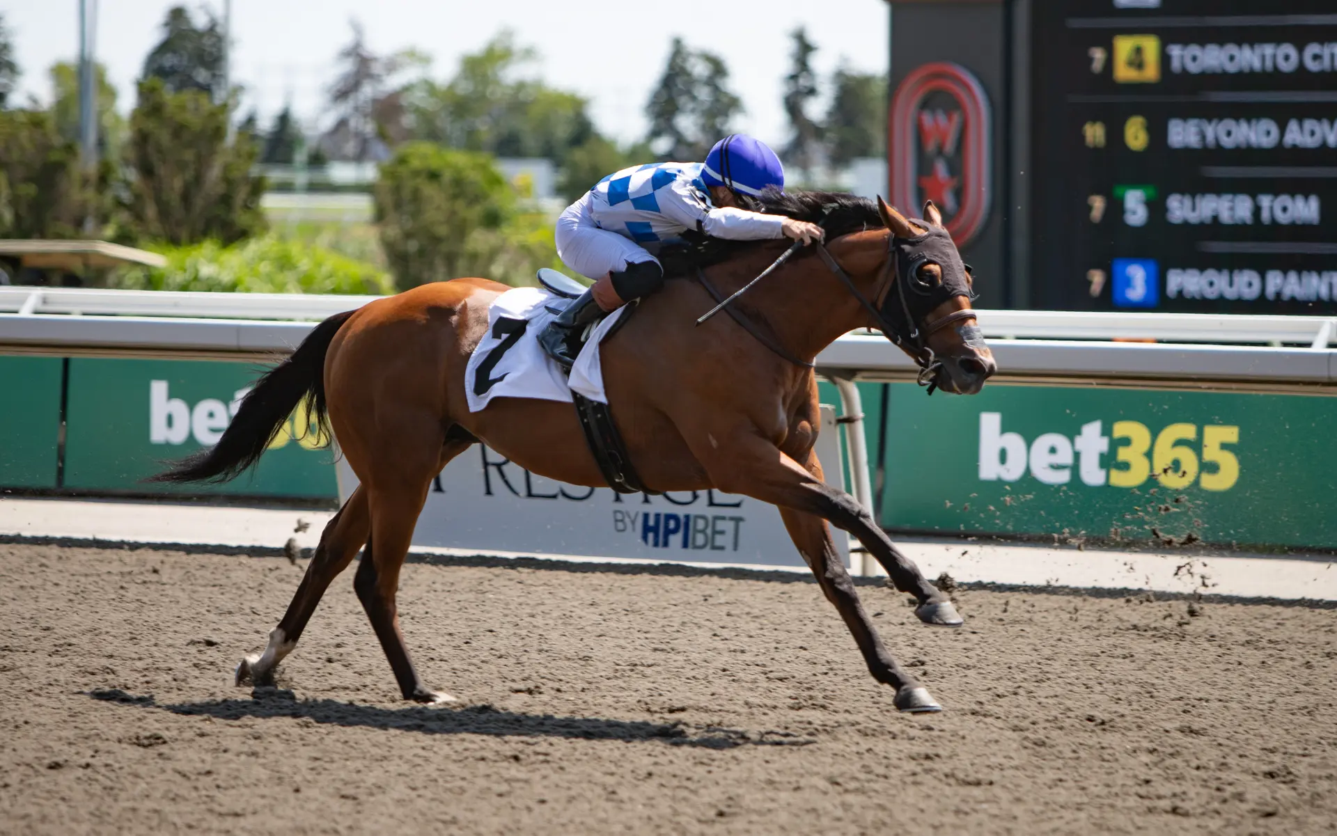 Crystal Pearl has the edge in Tapeta allowance