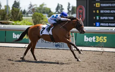 Crystal Pearl has the edge in Tapeta allowance
