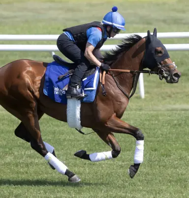 Highly regarded Abashiri makes North American debut in Belmont Oaks