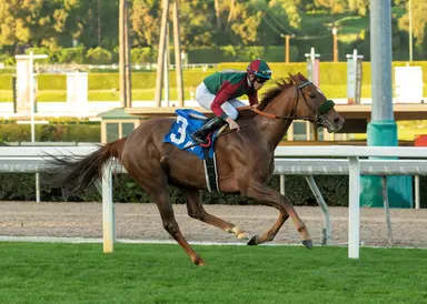 Grand Slam Smile has no problem with Sunshine Millions Filly and Mare Turf Sprint
