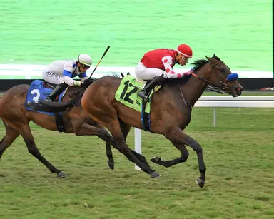 Sassy Princess gets another two-turn dirt try