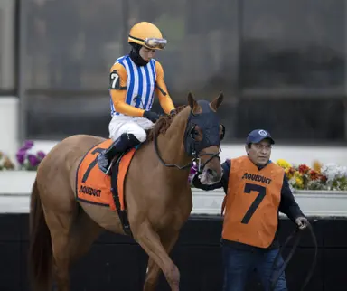 Dubyuhnell, Fort Bragg committed to Florida Derby despite outside posts