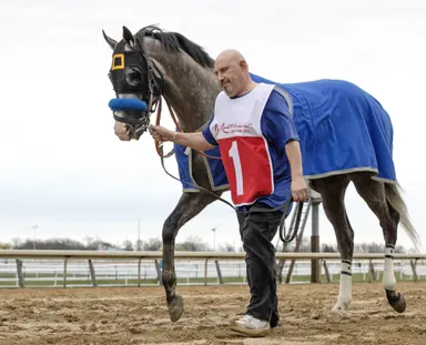 All roads lead to Haskell for Napoleon Solo as Summers maps out route