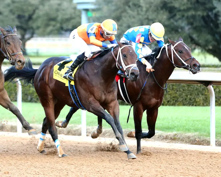 KALE'S ANGEL - The Renaissance Stakes - 01-18-25 - R09 - Oaklawn Park - Finish 02 - McCarlee Perkins.jpg