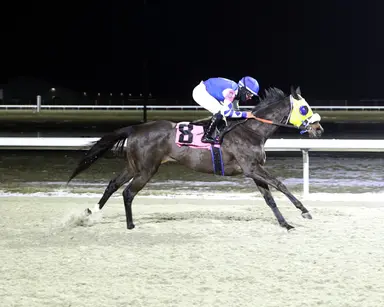 Pair of starter allowances highlight seven-race card