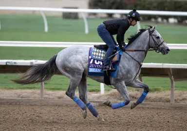 Brant will start in San Felipe, Baffert says, Intrepido will not