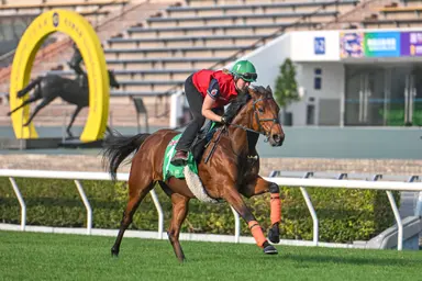 Australia: Dubai Honour, Rousham Park ship in to battle Via Sistina on home turf in Queen Elizabeth