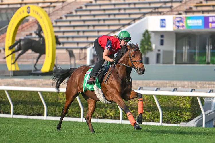 Dubai Honour01.12.6.24.HKJC_.jpg