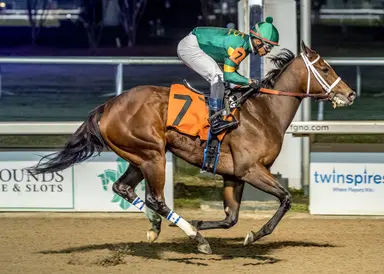 193 cataloged to Wednesday's Texas 2-year-olds in training sale