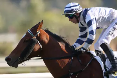Rubylot leads Four-Year-Old Classic Series charge with Sha Tin victory