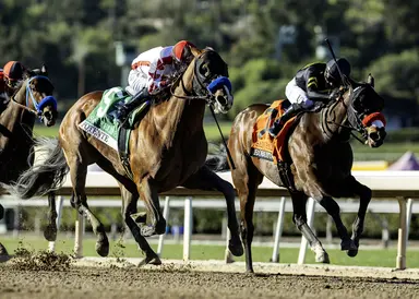 Kentucky Derby 2026: Baffert runners get final chance to step forward