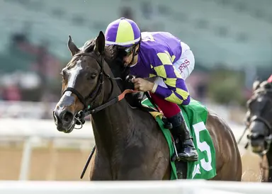 Brad Free's Del Mar Horses to Watch for week of July 20, 2024