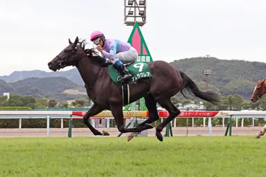 Japan: In expected final start, Namura Clair eyes first Grade 1 in Takamatsunomiya Kinen