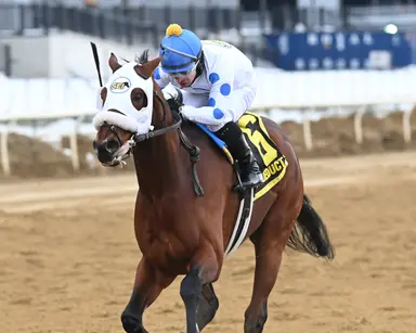 Rodriguez prefers to keep Withers winner Talk to Me Jimmy at home for next start