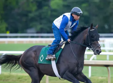 Belmont 2026: Chief Wallabee should benefit from rough run in Derby