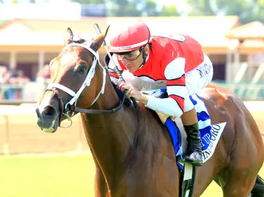 Weekend GamePlan: Picks for Queen Elizabeth II Challenge Cup, Glen Cove, Maryland Million Lassie