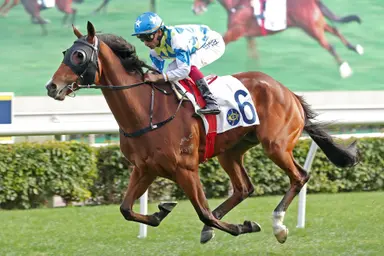 Teetan and Galaxy Patch reunite for another shot at G1 Queen’s Silver Jubilee Cup